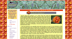 Desktop Screenshot of amishlandseeds.com